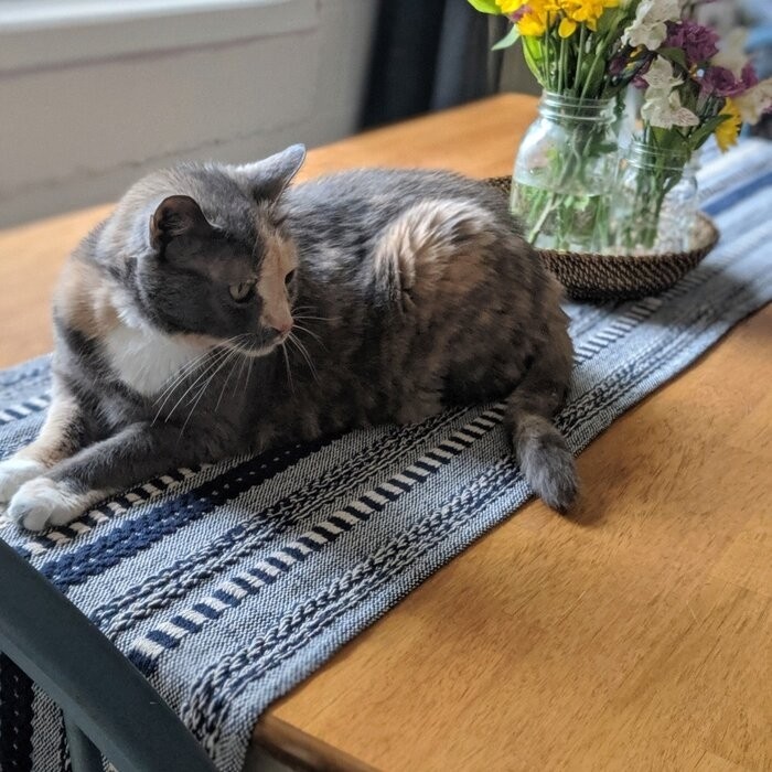 Amundson Striped 100% Cotton Table Runner