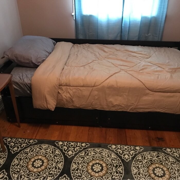 Berteau Twin Solid Wood Daybed with Trundle