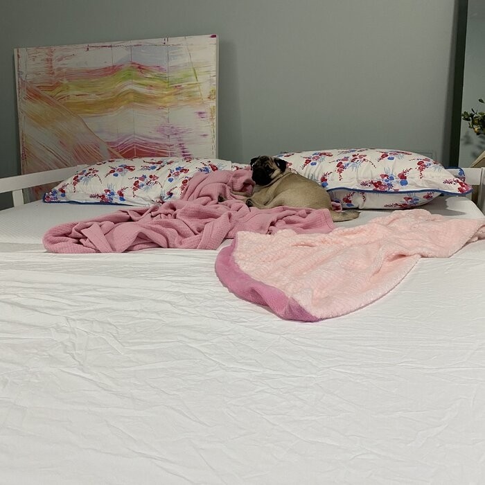 Berteau Twin Solid Wood Daybed with Trundle