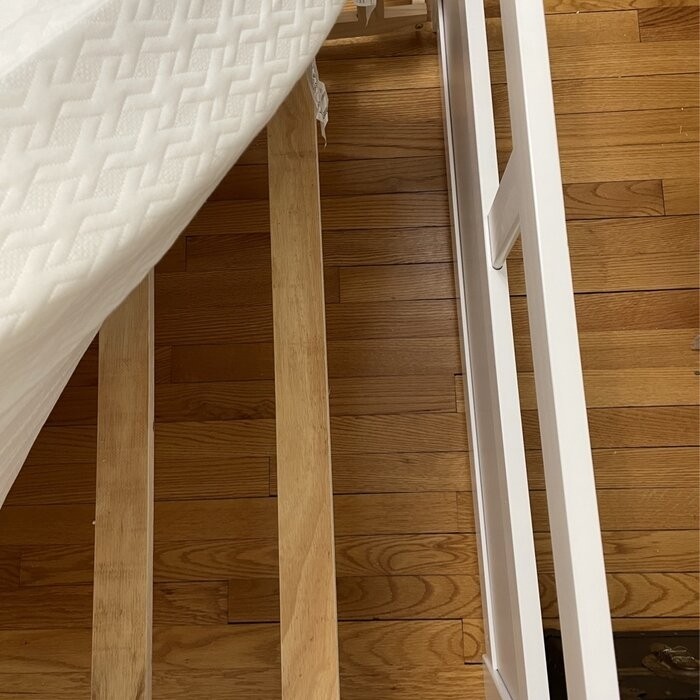 Berteau Twin Solid Wood Daybed with Trundle