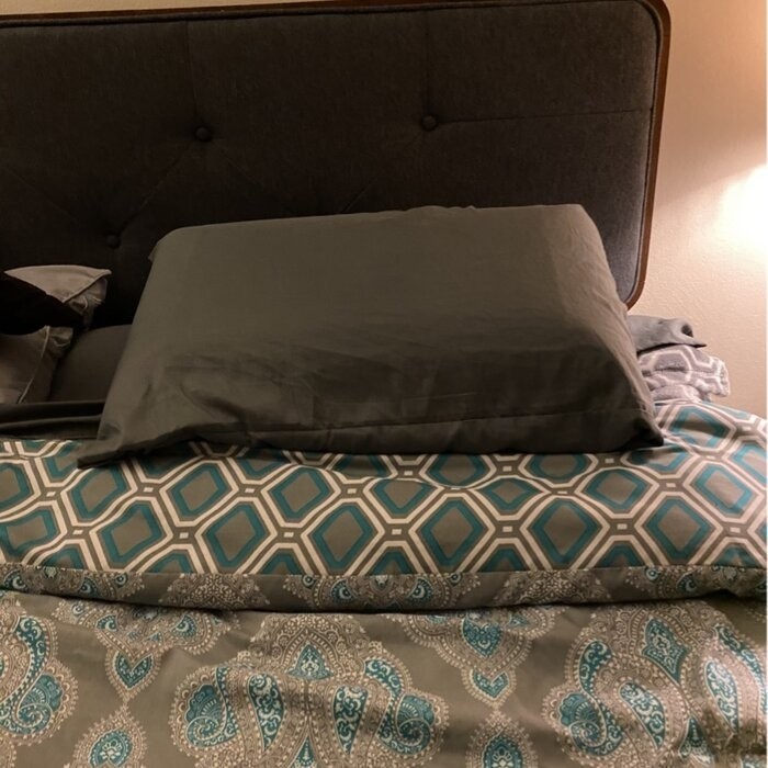 Bojanka Upholstered Panel Headboard