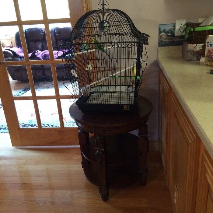 Bressler 25'' Steel Victorian Top Hanging Bird Cage with Perch