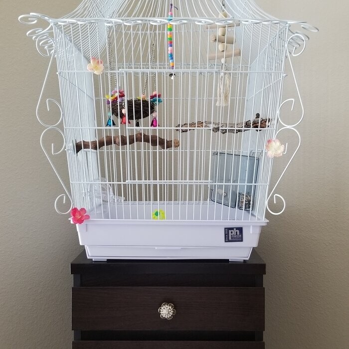 Bressler 25'' Steel Victorian Top Hanging Bird Cage with Perch