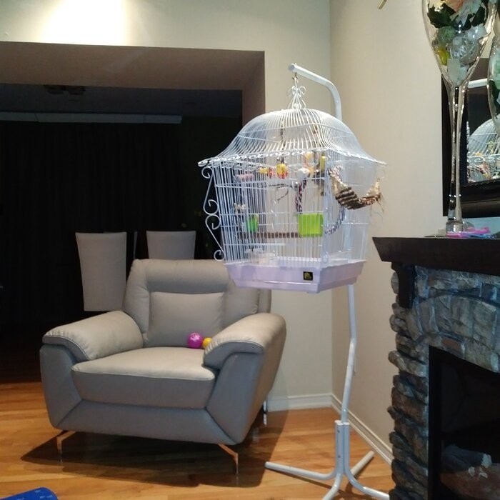 Bressler 25'' Steel Victorian Top Hanging Bird Cage with Perch