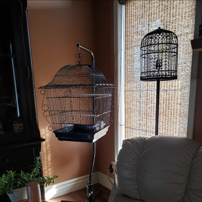 Bressler 25'' Steel Victorian Top Hanging Bird Cage with Perch