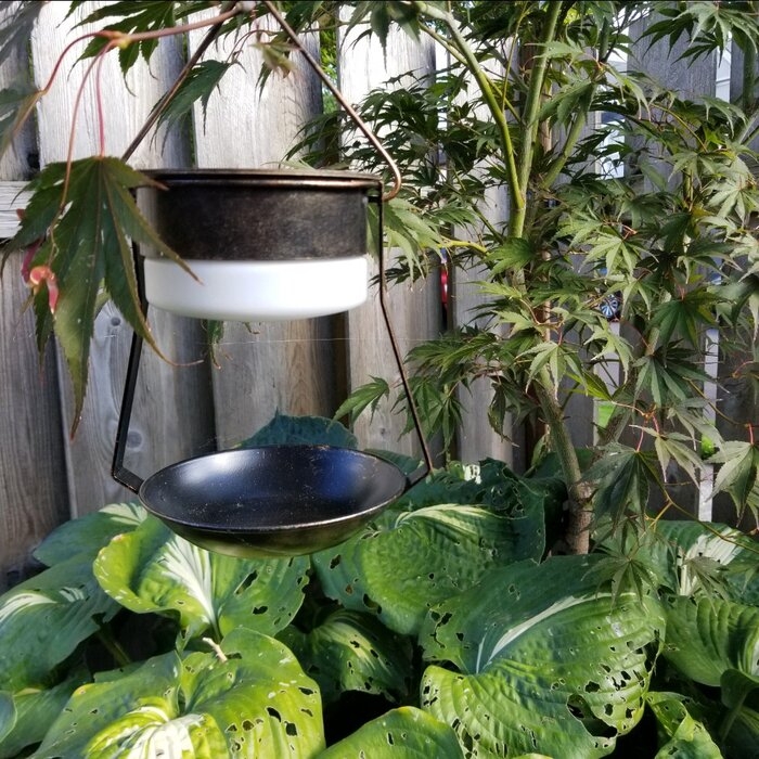 Brittlyn Solar Accent 1-Light LED Outdoor Hanging Lantern