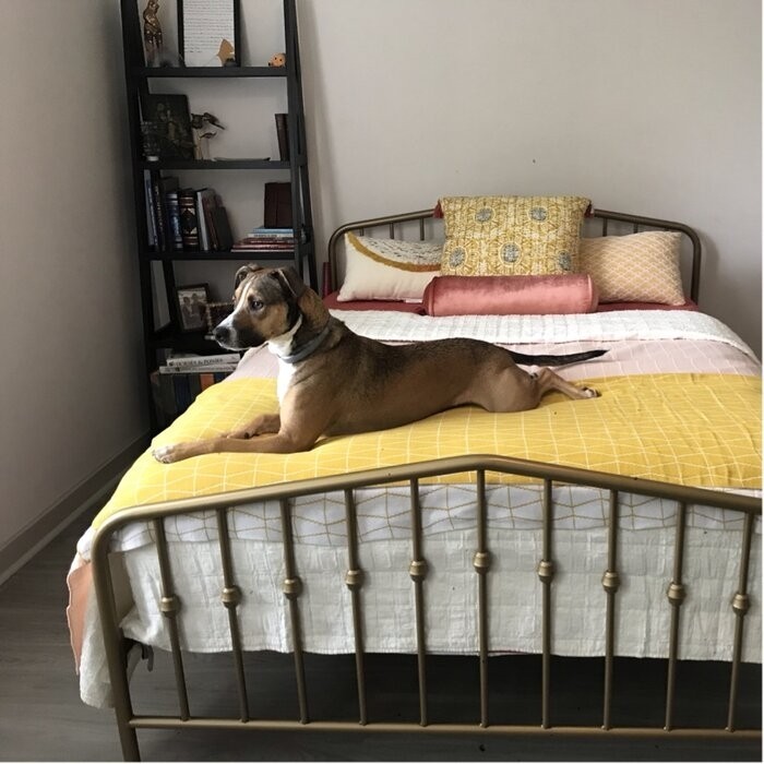 Bushwick Platform Bed