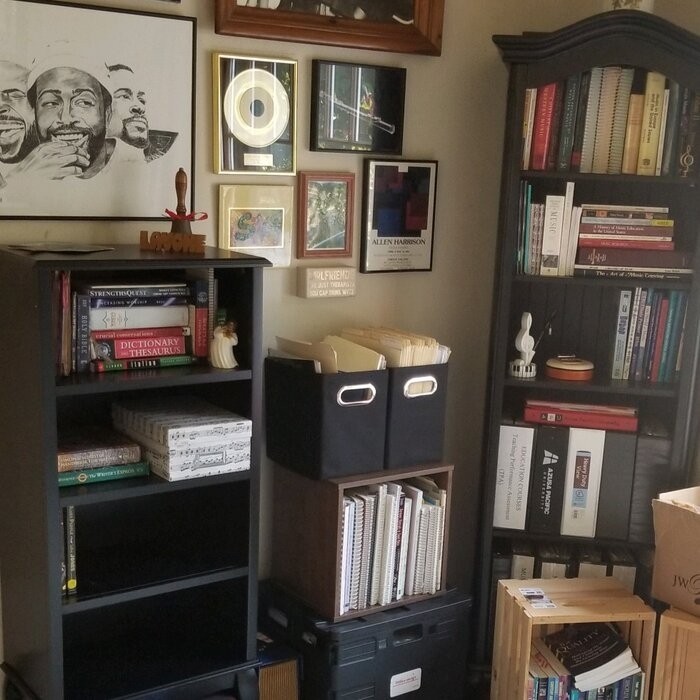 Cadenza 72'' H x 24'' W Standard Bookcase