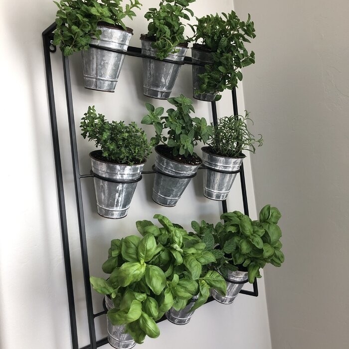 Cardona 9-Piece Pot Metal Wall Planter