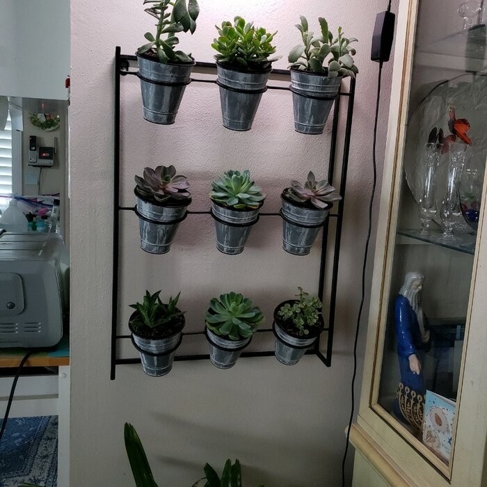 Cardona 9-Piece Pot Metal Wall Planter