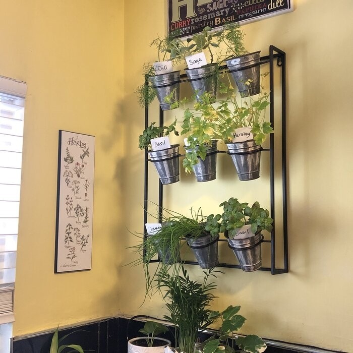 Cardona 9-Piece Pot Metal Wall Planter