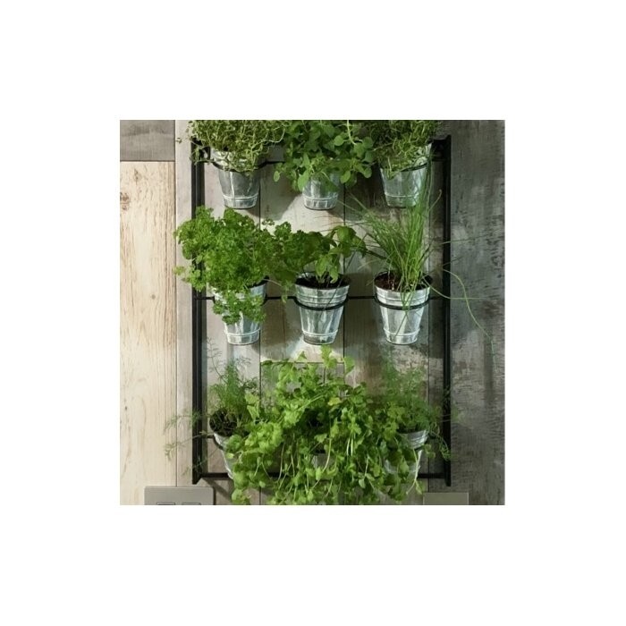 Cardona 9-Piece Pot Metal Wall Planter