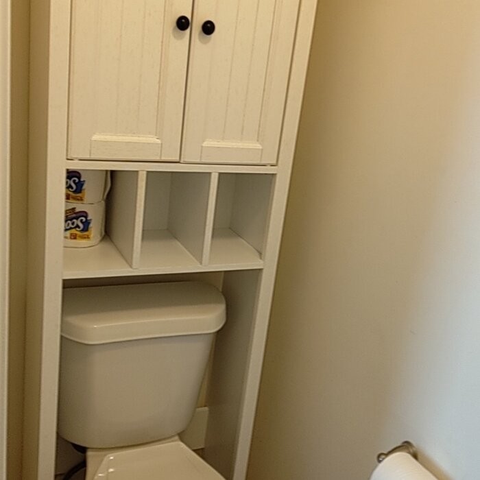 Carmel 23'' W x 72'' H x 11'' D Over-The-Toilet Storage