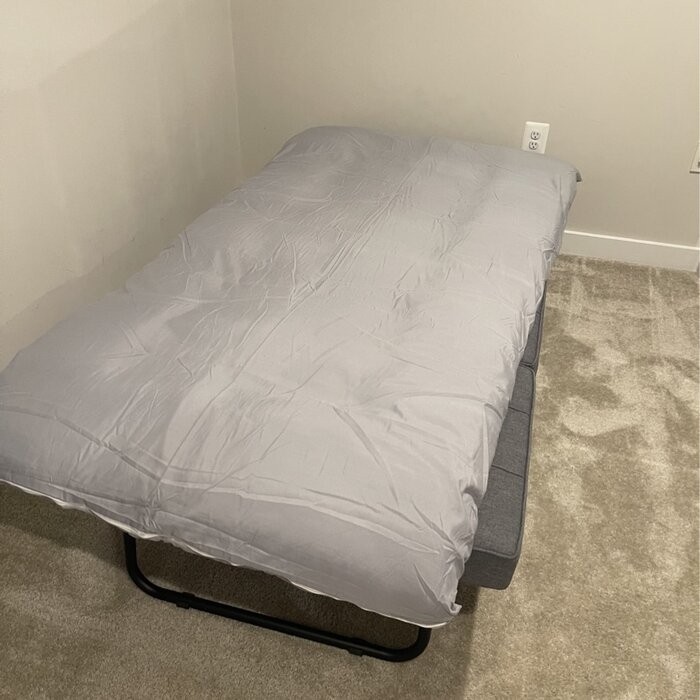 Chaliyah 74.02'' Armless Sofa Bed