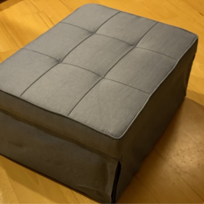Chaliyah 74.02'' Armless Sofa Bed
