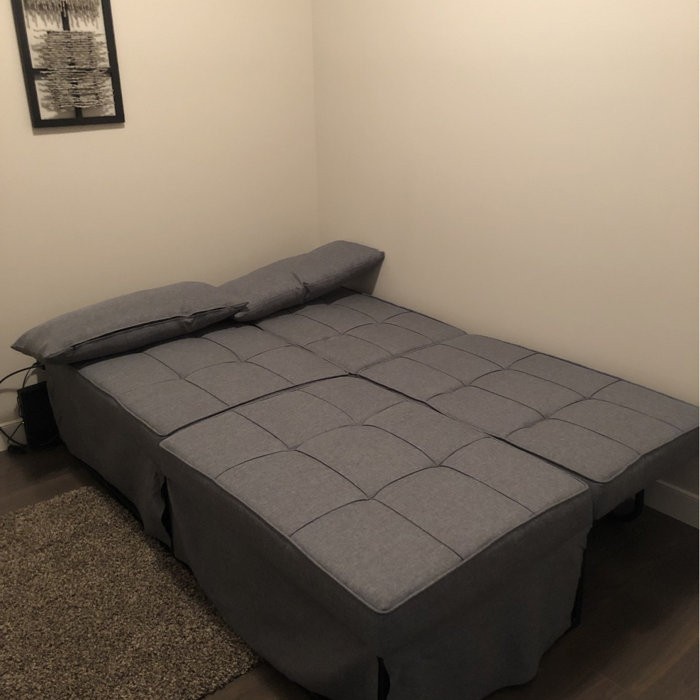 Chaliyah 74.02'' Armless Sofa Bed