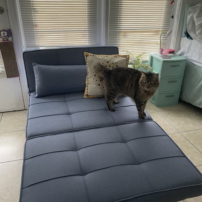 Chaliyah 74.02'' Armless Sofa Bed