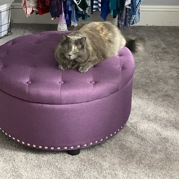 Champlain 30'' Wide Tufted Round Storage Ottoman with Storage