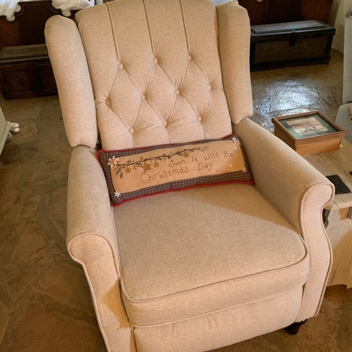 Daubert 27.17'' Wide Manual Wing Chair Recliner