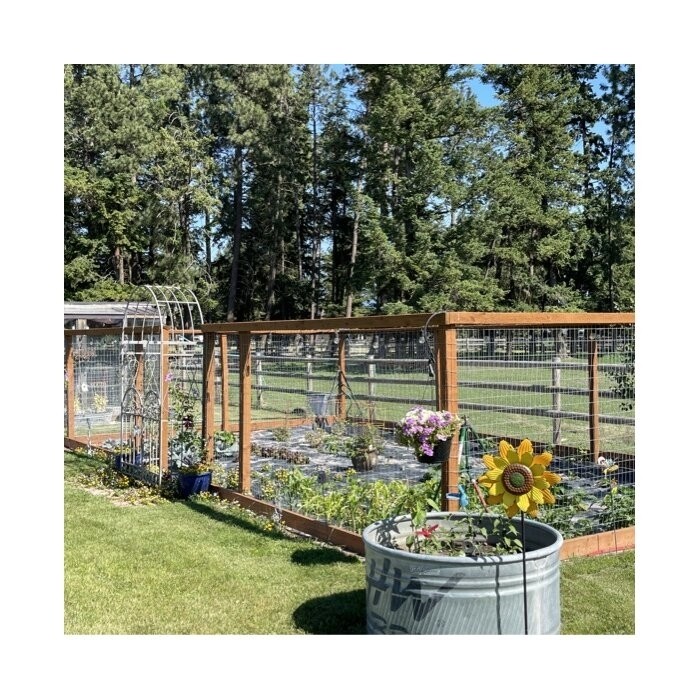 Derra Garden 50" W x 19.69" D Steel Arbor with Gate