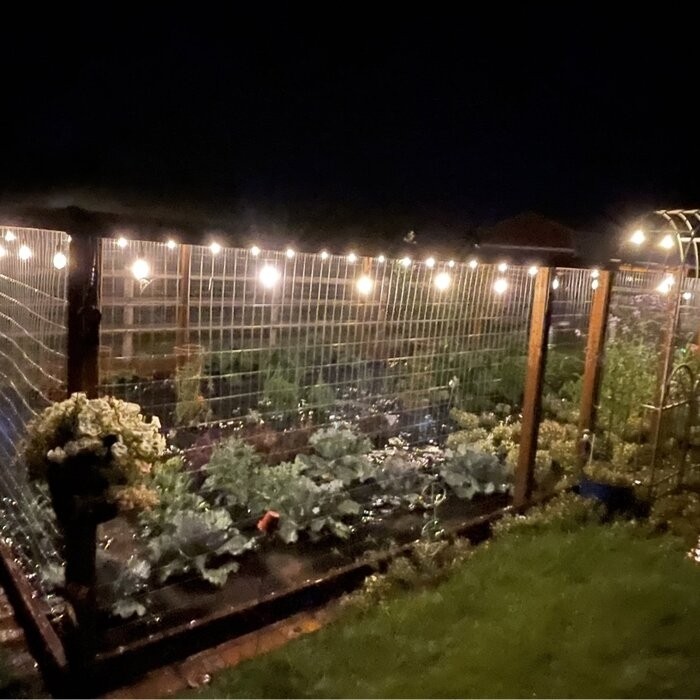 Derra Garden 50" W x 19.69" D Steel Arbor with Gate