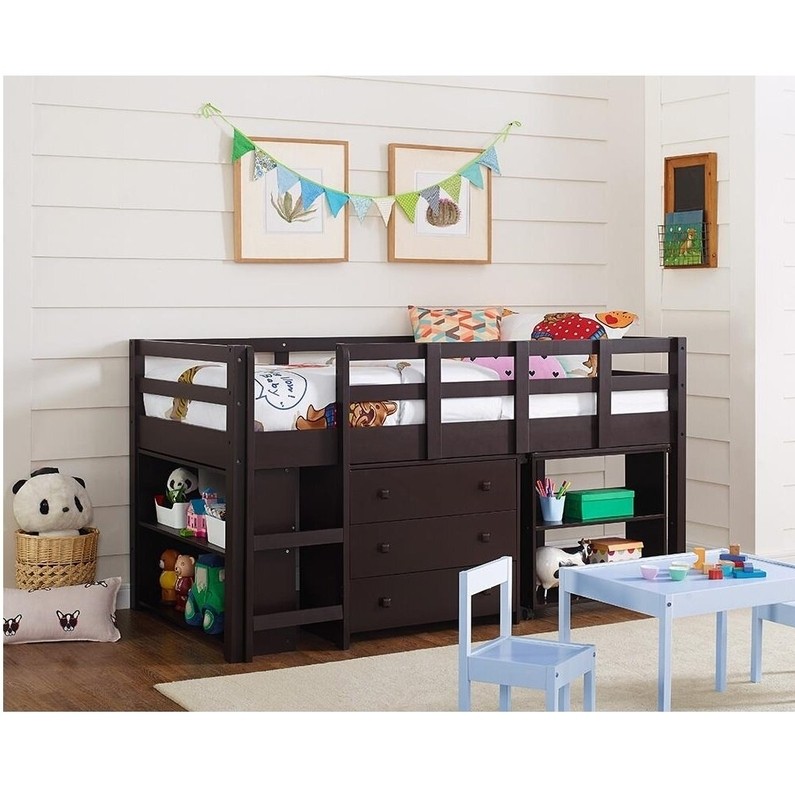 Eirwen Twin Platform Loft Bed with Bookcase by Harriet Bee