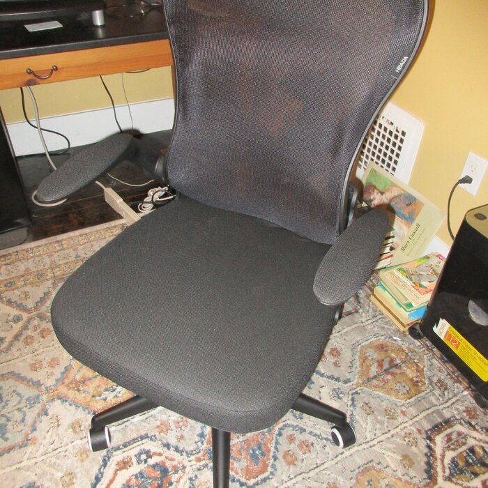 Ergonomic Polyurethane Task Chair