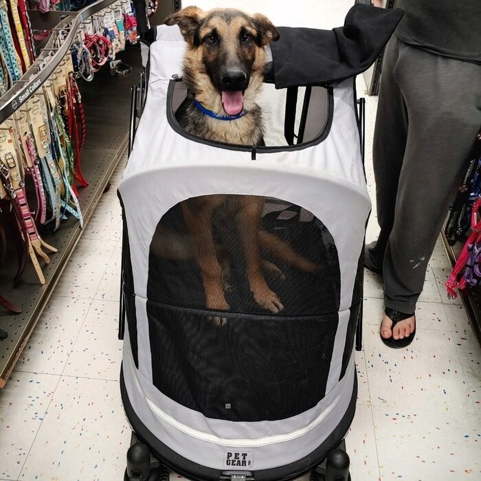 Expedition No Zip Standard Stroller