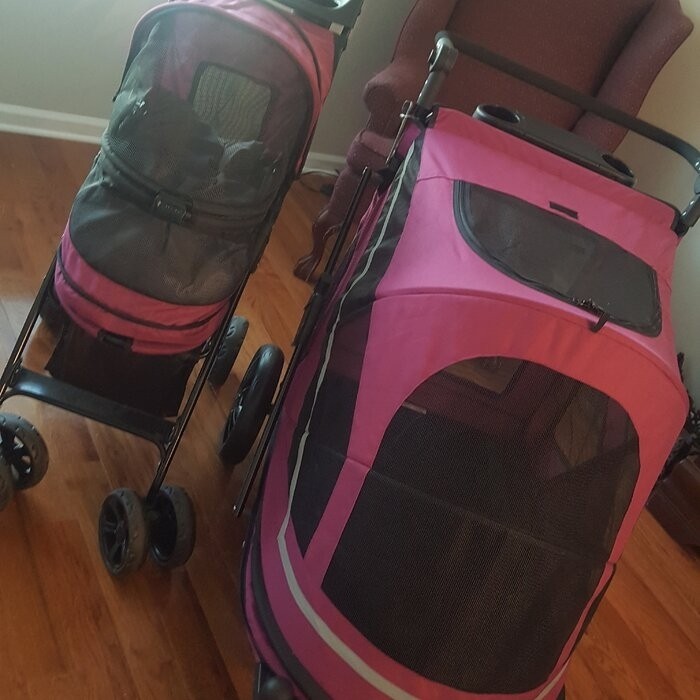 Expedition No Zip Standard Stroller