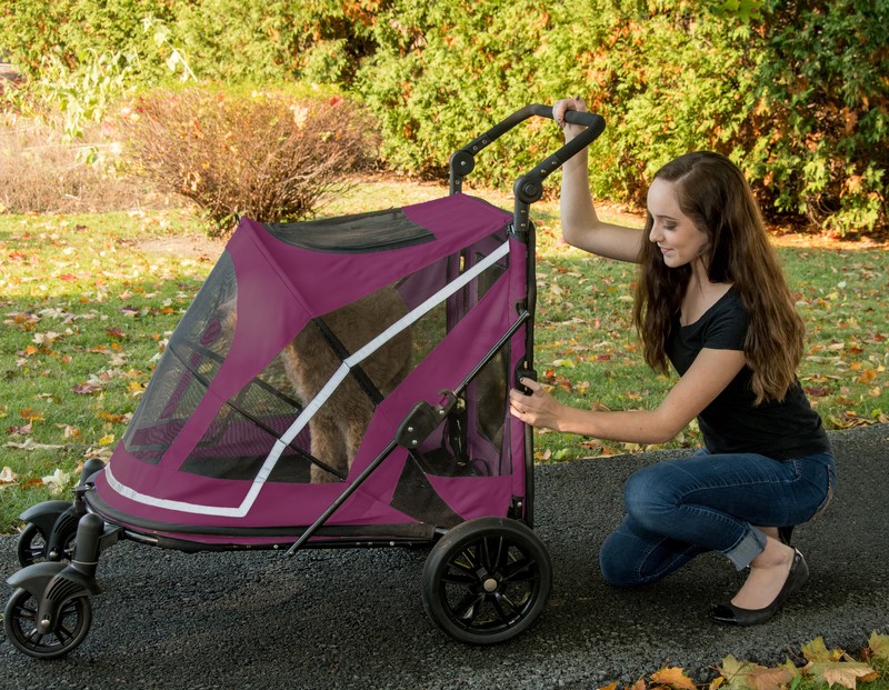 Expedition No Zip Standard Stroller