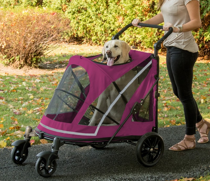 Expedition No Zip Standard Stroller