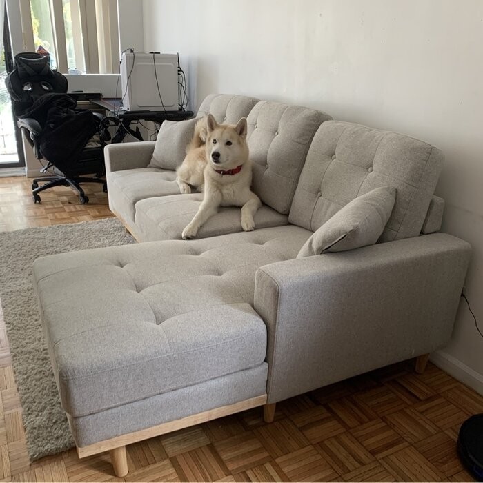 Fairbank 91'' Square Arm Sofa Bed