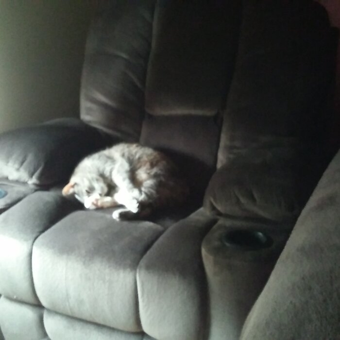 Fason 42.5'' Wide Manual Glider Club Recliner