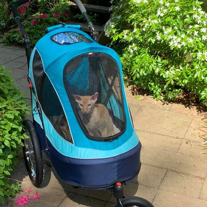 Folding Jogger Stroller