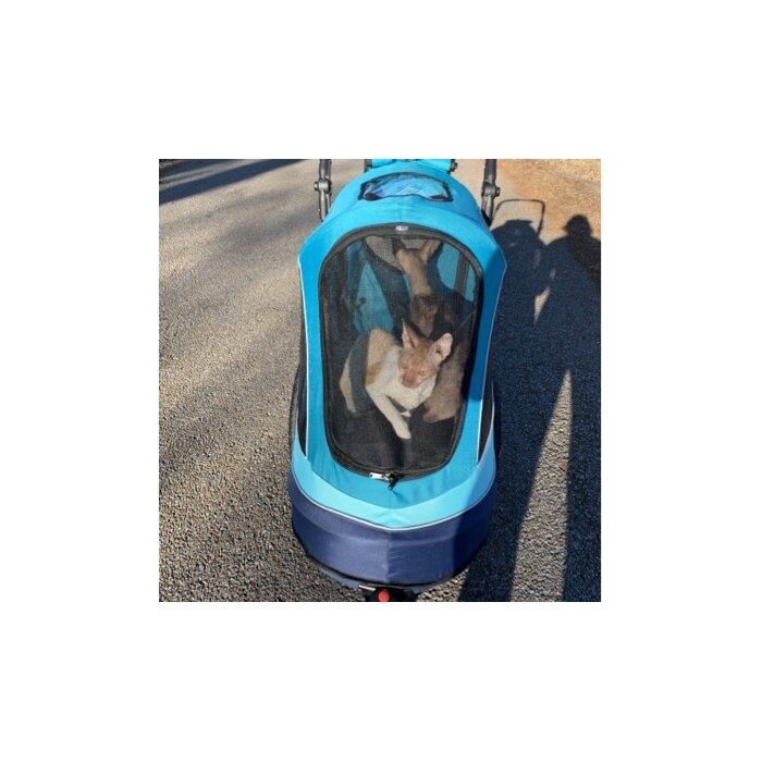 Folding Jogger Stroller