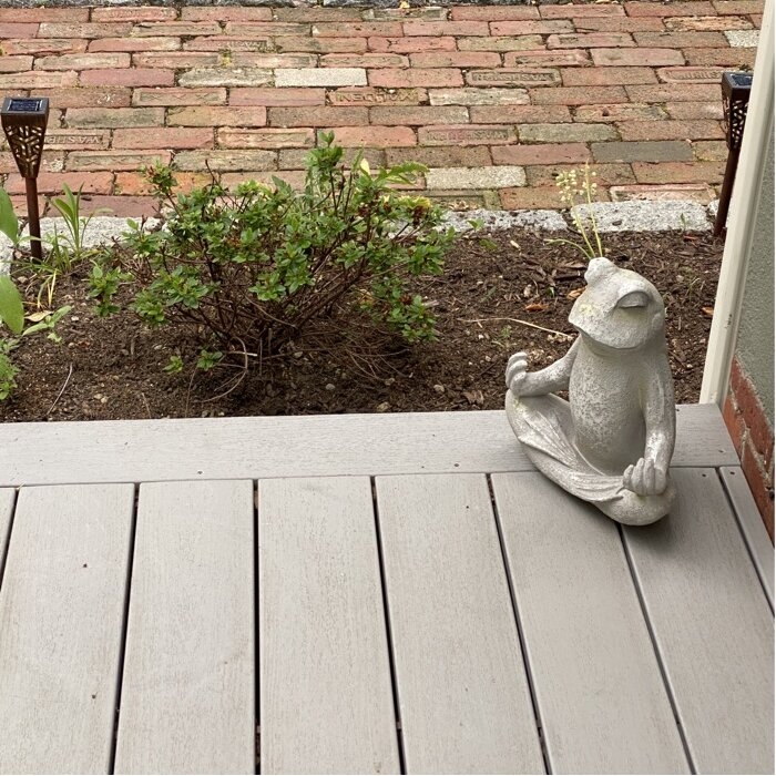 Frog Sitting in Lotus Posture Statue