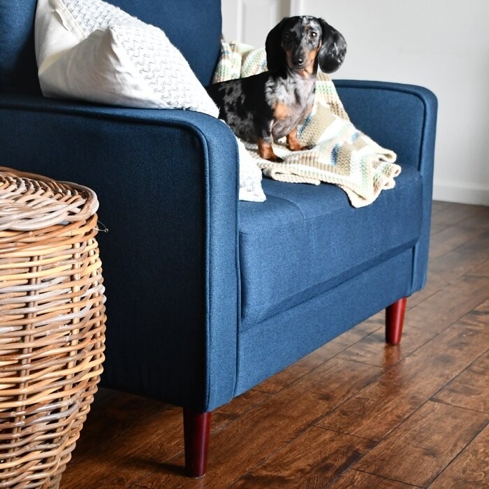 Garren 39.8'' Wide Tufted Club Chair