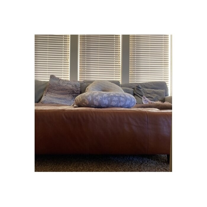 Gendron 62'' Wide Genuine Leather Tufted Rectangle Cocktail Ottoman