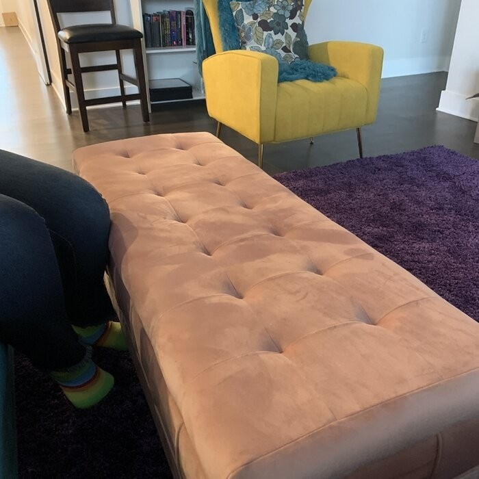 Gloria 52'' Wide Velvet Tufted Rectangle Storage Ottoman with Storage