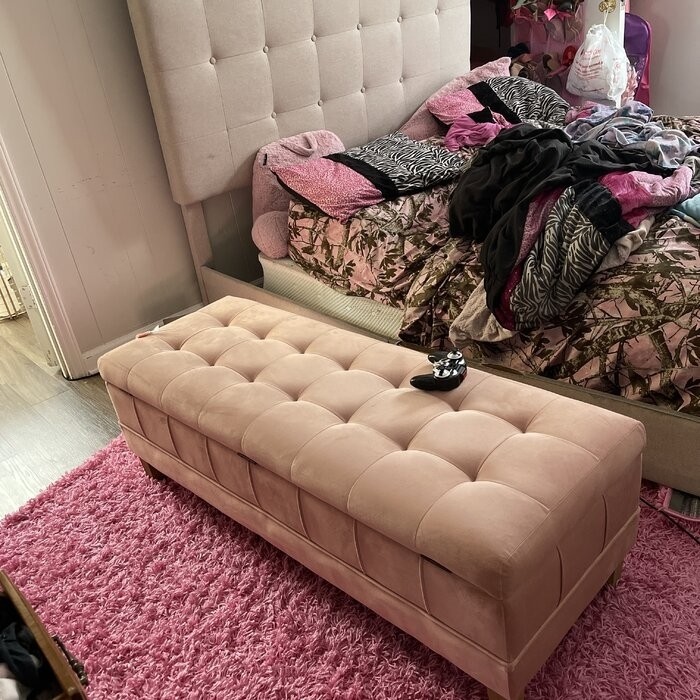 Gloria 52'' Wide Velvet Tufted Rectangle Storage Ottoman with Storage