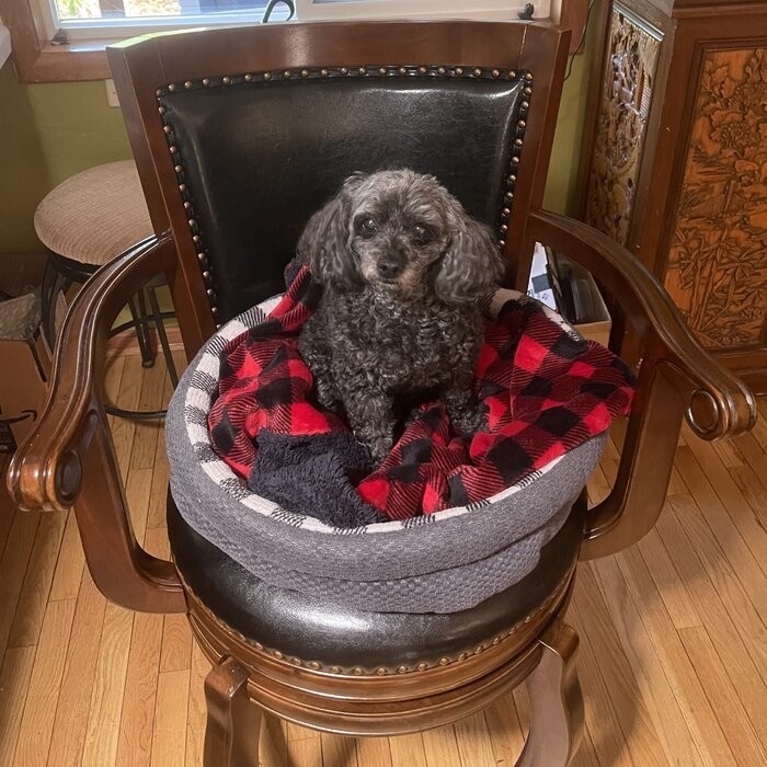Greer Swivel 29" Bar Stool