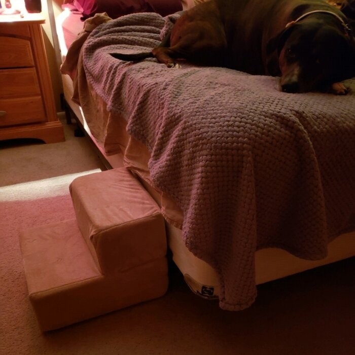 Holdsworth Comfort Foam 2 Step Pet Stair