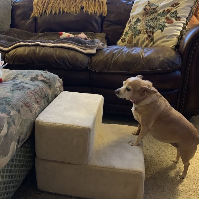 Holdsworth Comfort Foam 2 Step Pet Stair