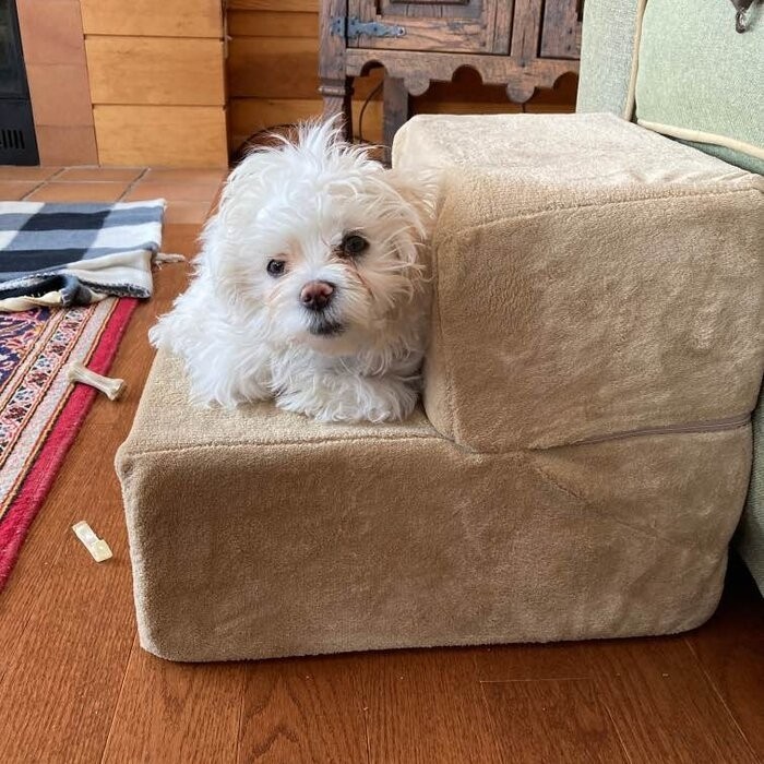 Holdsworth Comfort Foam 2 Step Pet Stair