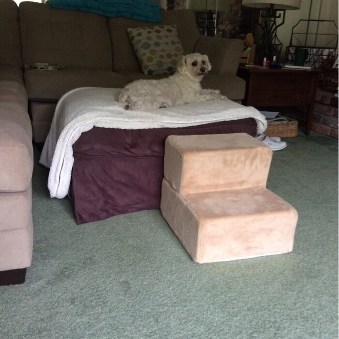 Holdsworth Comfort Foam 2 Step Pet Stair
