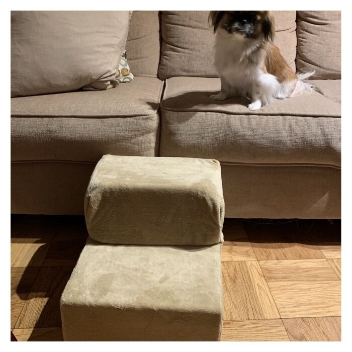 Holdsworth Comfort Foam 2 Step Pet Stair