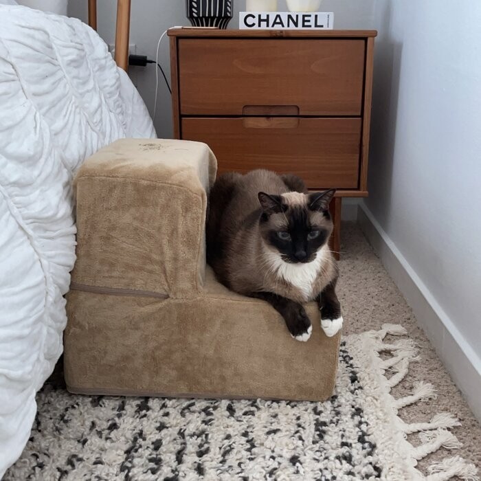 Holdsworth Comfort Foam 2 Step Pet Stair