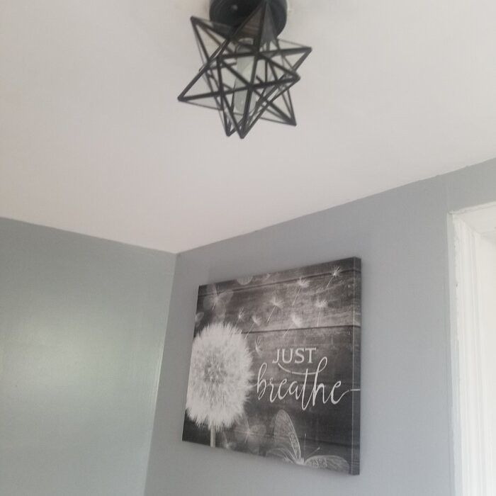 Holleman 1 - Light 12''