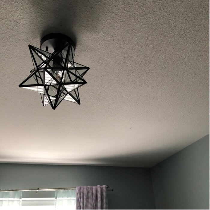 Holleman 1 - Light 12''
