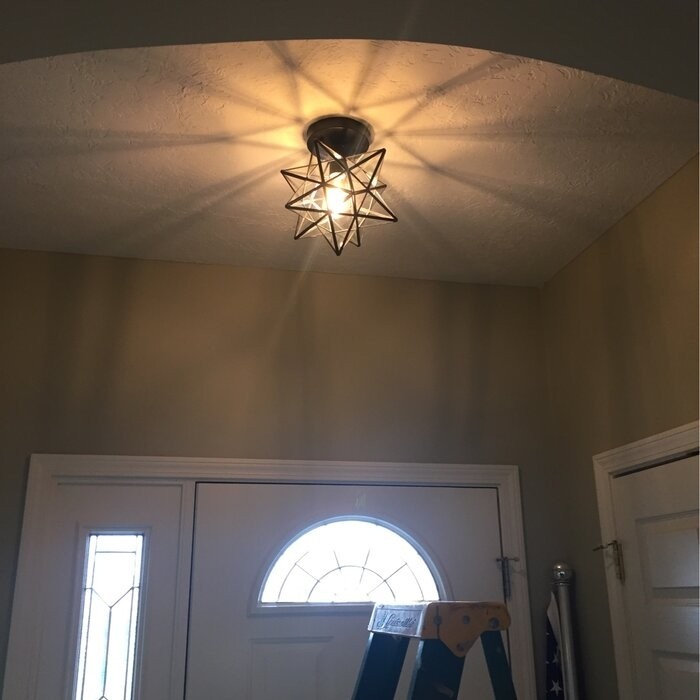 Holleman 1 - Light 12''